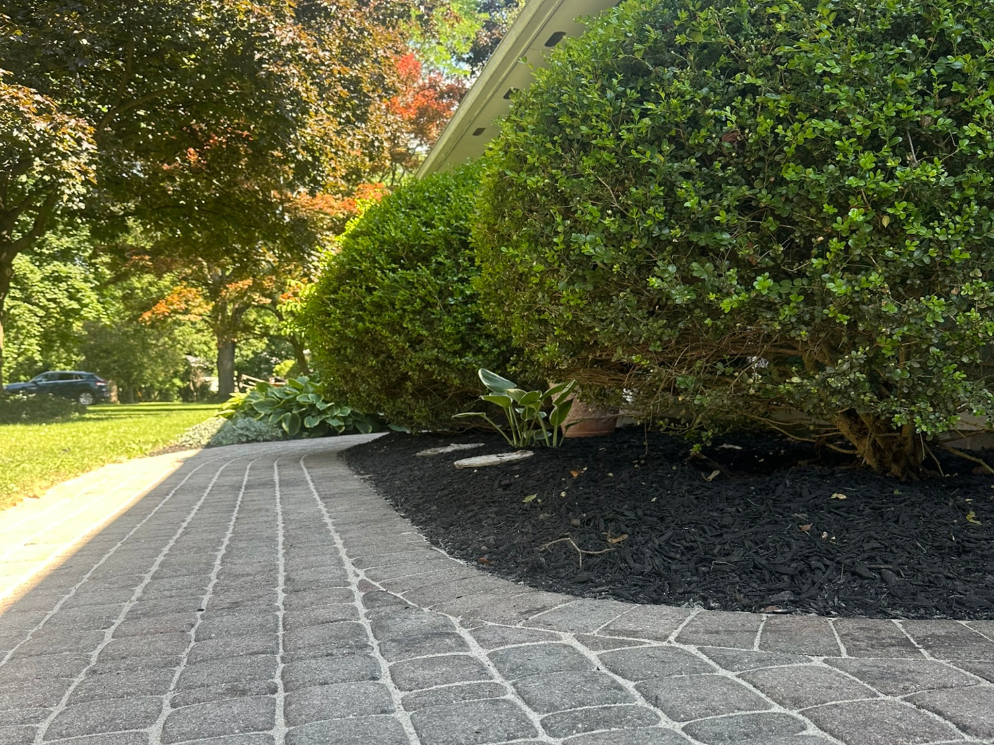 Stone Pavement Green House